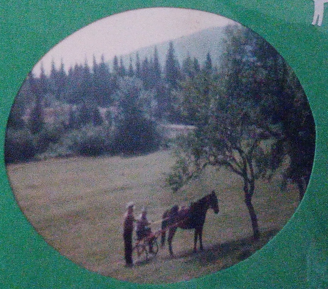 Allan Dan MacInnis