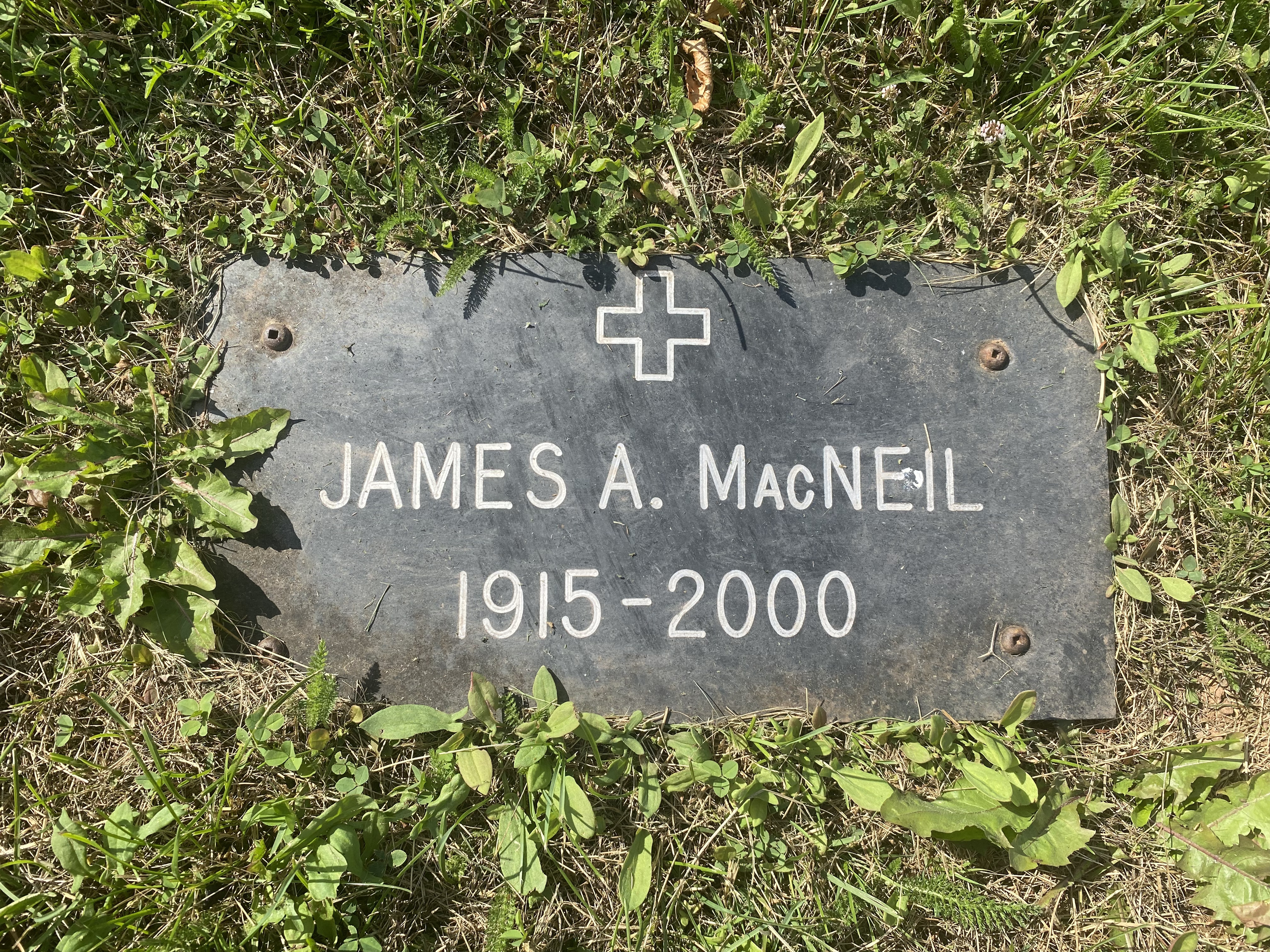 James MacNeil